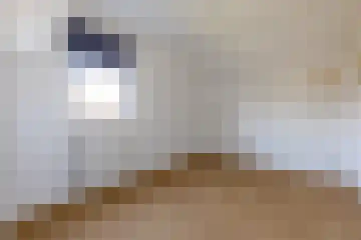 Wagenpad 19 Laren thumbnail 23