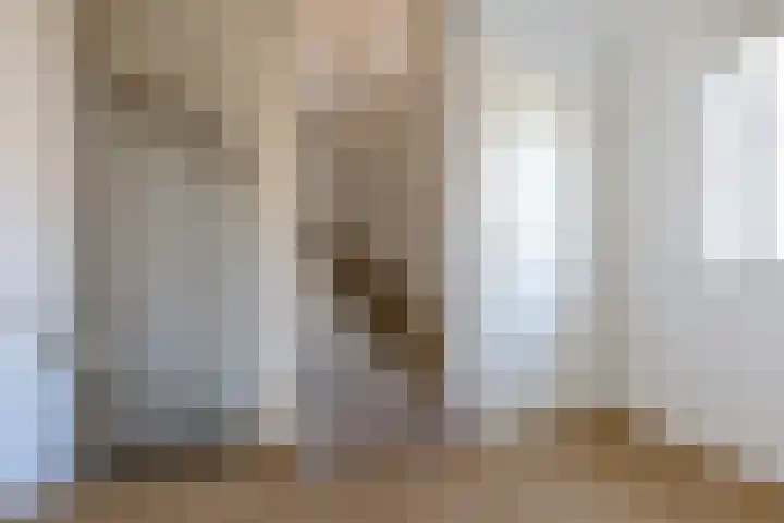 Wagenpad 19 Laren thumbnail 25