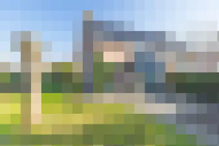 Wagenpad 19 Laren thumbnail 31