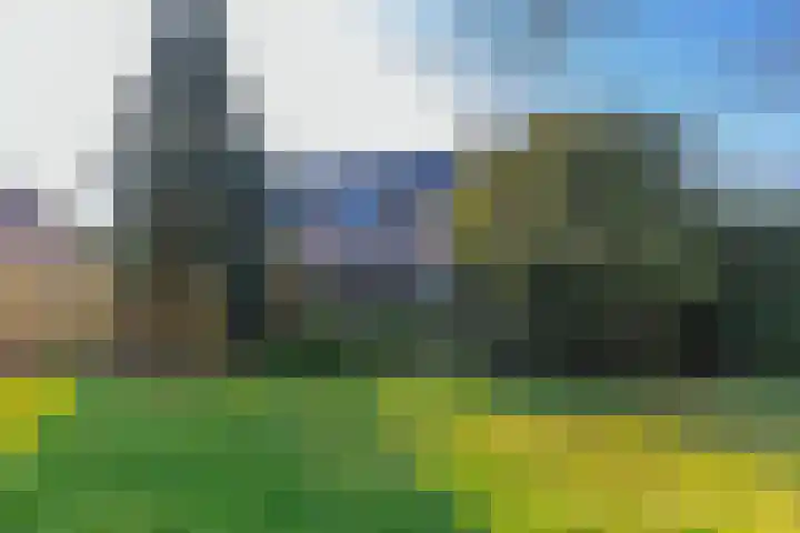 Wagenpad 19 Laren thumbnail 35