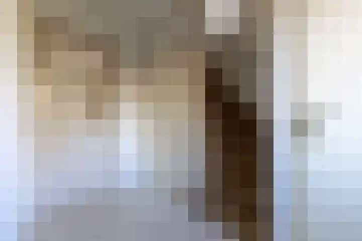 Wagenpad 19 Laren thumbnail 6