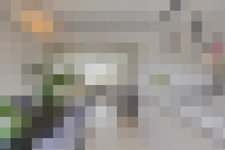 Wagenstraat 4 Gennep thumbnail 16