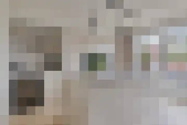 Wagenstraat 4 Gennep thumbnail 17