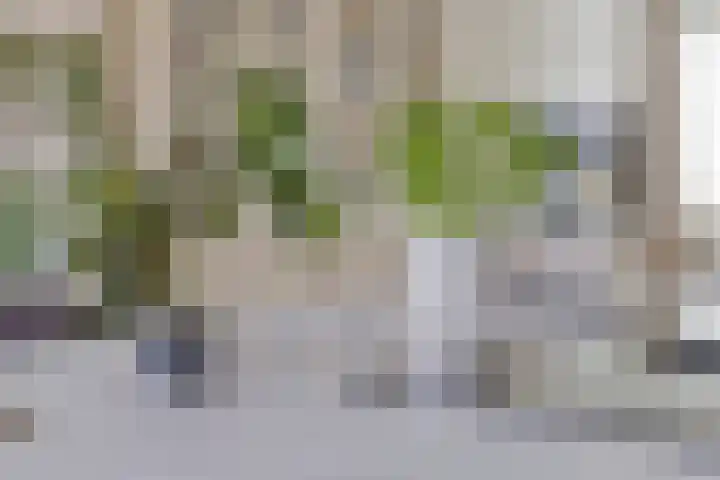Wagenstraat 4 Gennep thumbnail 23