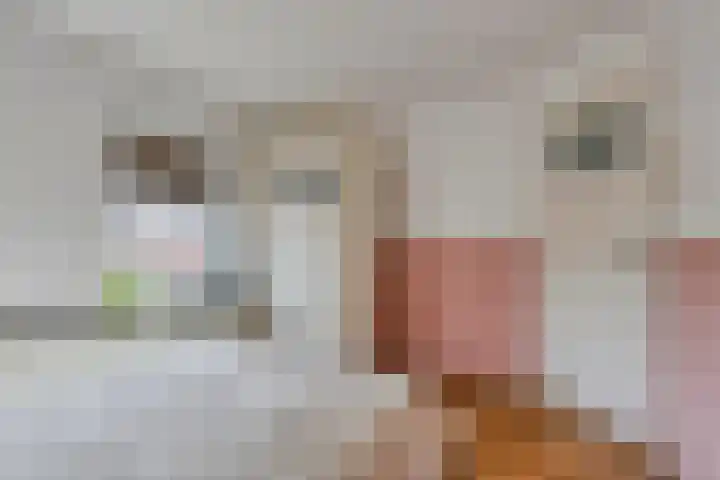 Wagenstraat 4 Gennep thumbnail 28