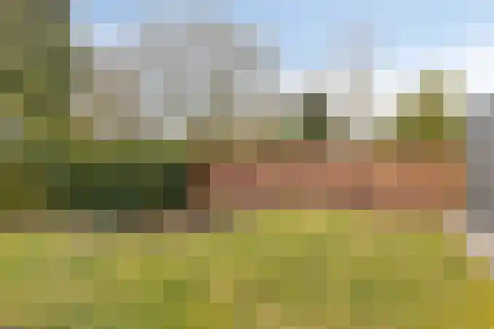 Wagenstraat 4 Gennep thumbnail 40