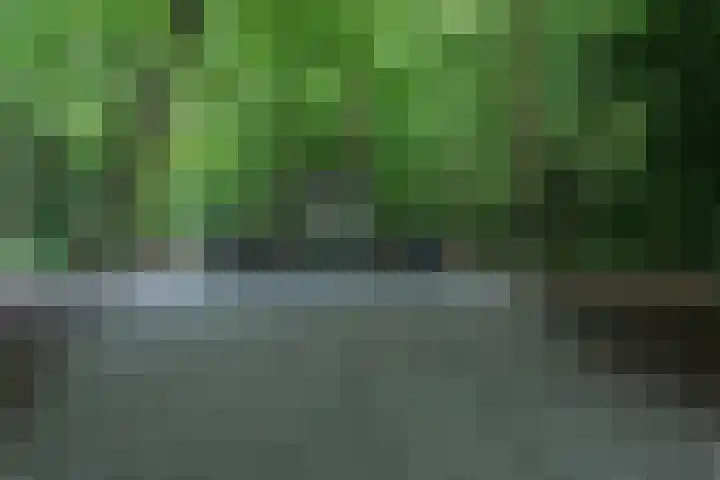 Wagenweg 154 Haarlem thumbnail 41