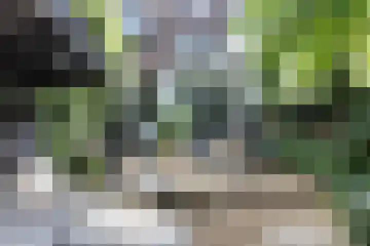 Wagenweg 154 Haarlem thumbnail 5