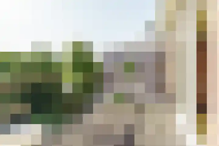 Wagenweg 25 D Haarlem thumbnail 16