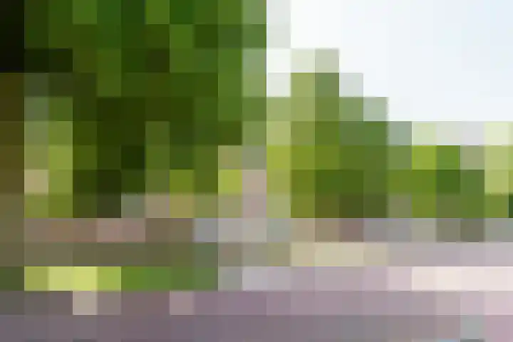 Wagenweg 25 D Haarlem thumbnail 19