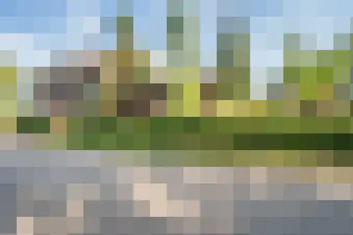 Waije 12 Neer