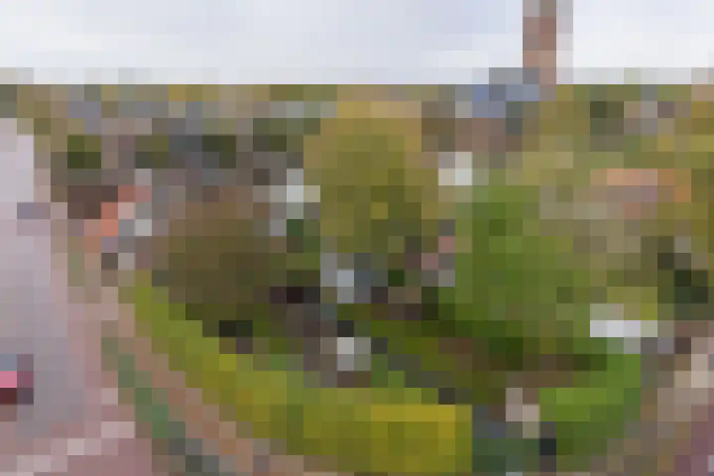 Wakkerendijk 2 in Eemnes