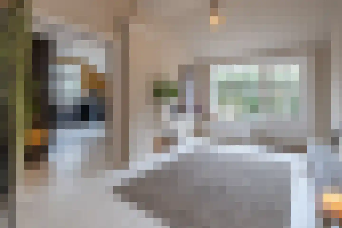 Wakkerendijk 246 Eemnes thumbnail 15