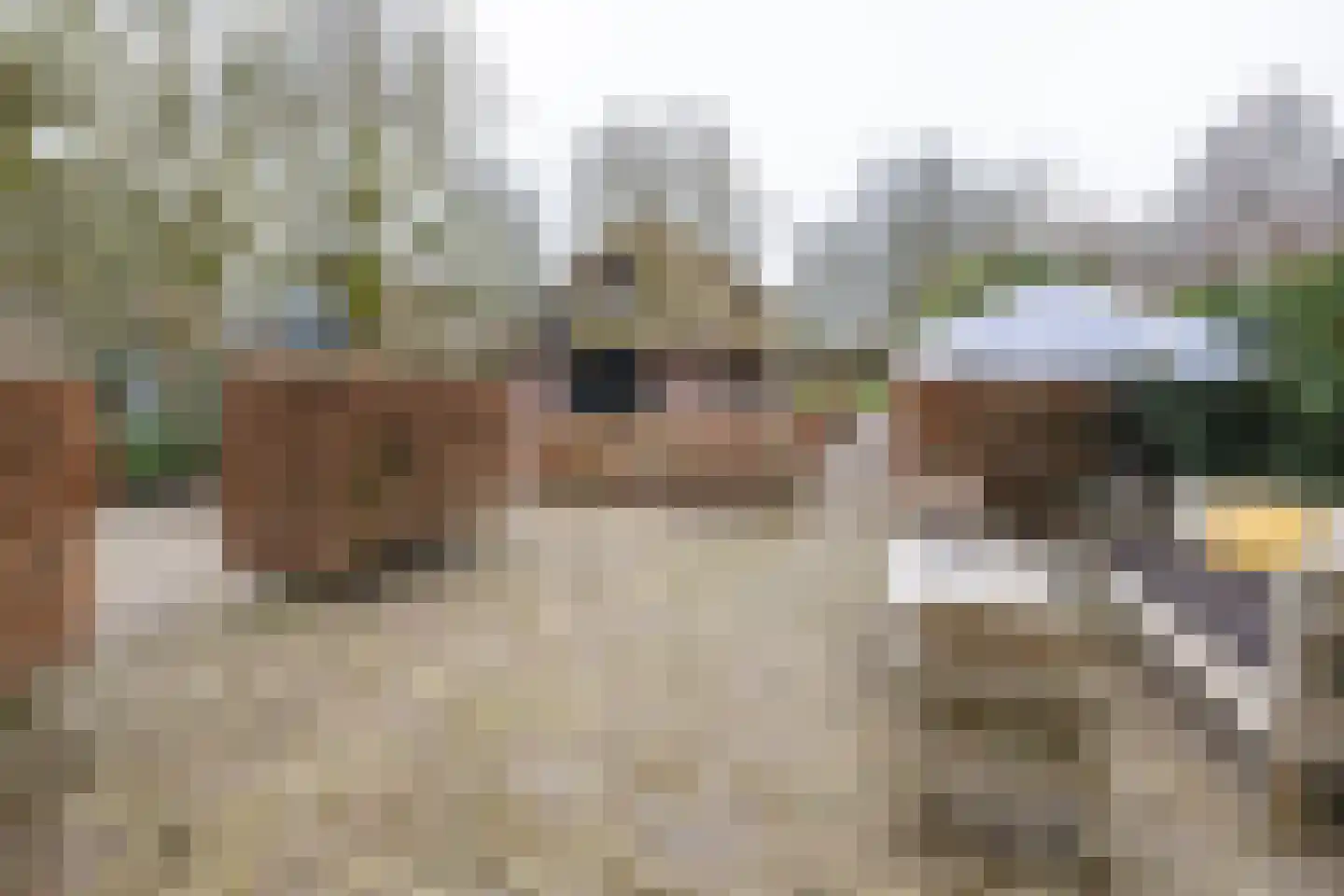 Wakkerendijk 246 Eemnes thumbnail 36