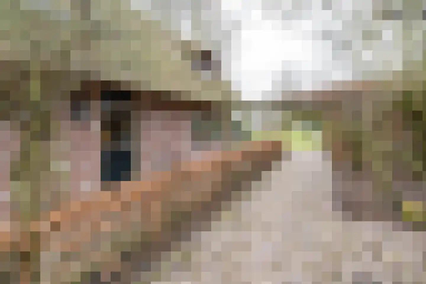 Wakkerendijk 246 Eemnes thumbnail 55