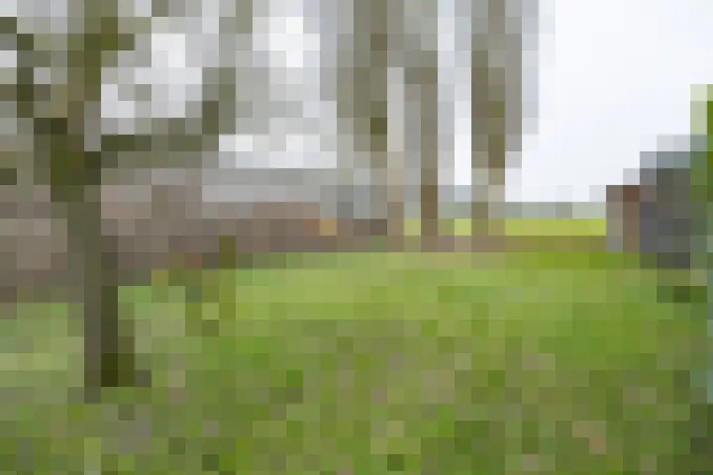 Wakkerendijk 246 Eemnes thumbnail 64