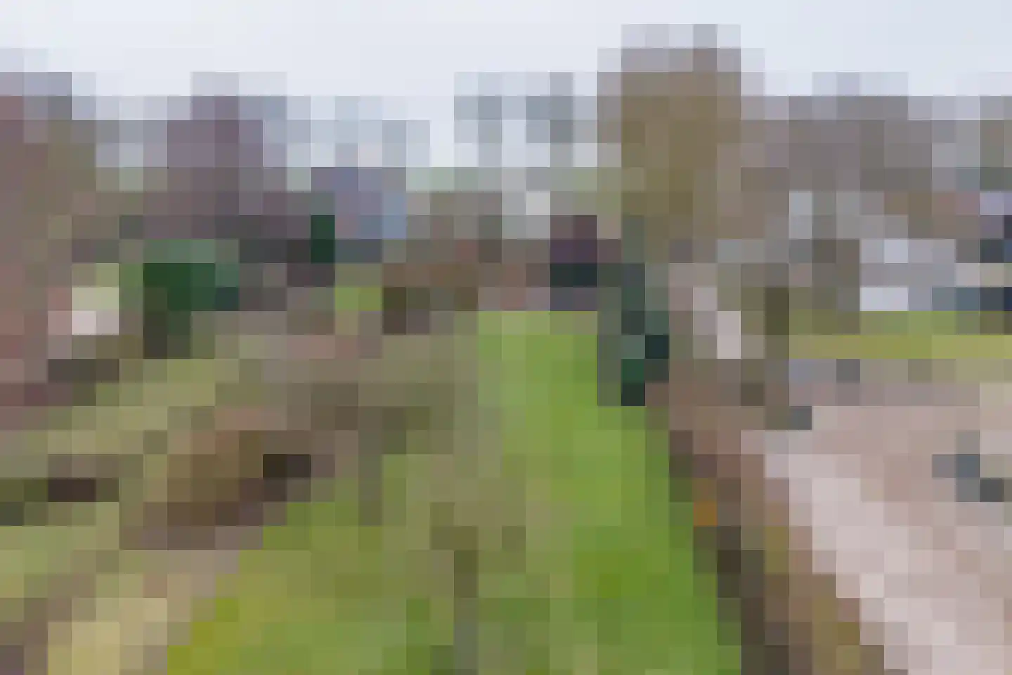 Wakkerendijk 246 Eemnes thumbnail 73