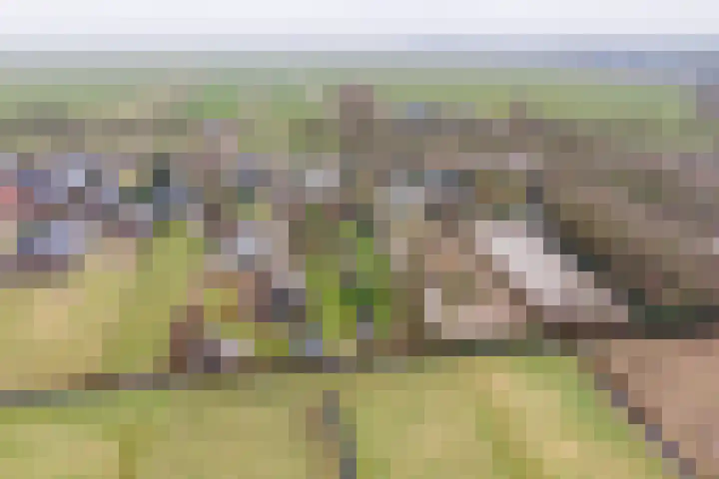 Wakkerendijk 246 Eemnes thumbnail 74