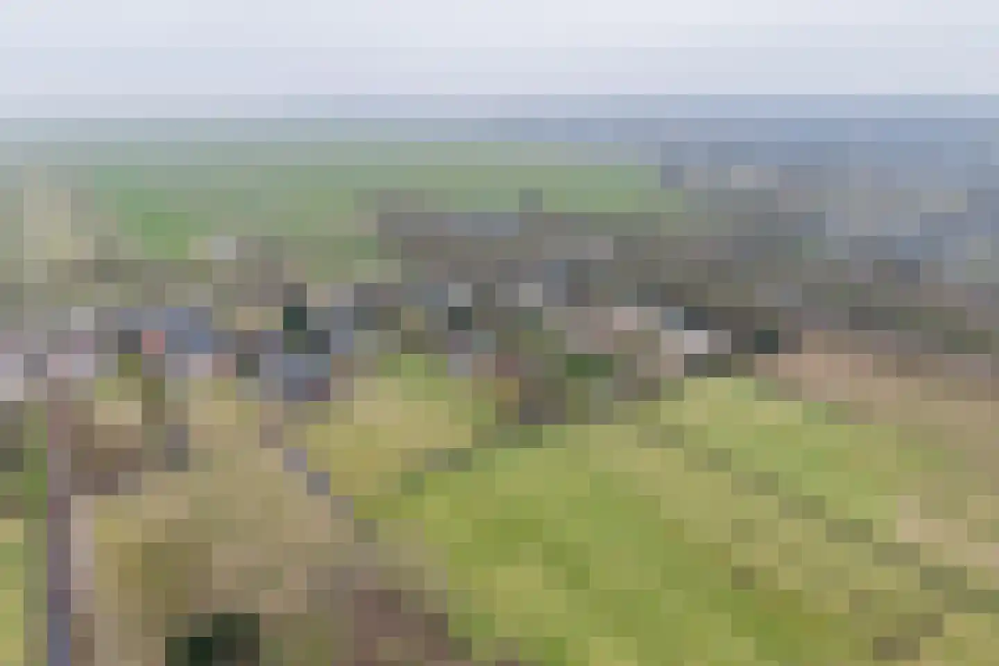 Wakkerendijk 246 Eemnes thumbnail 75