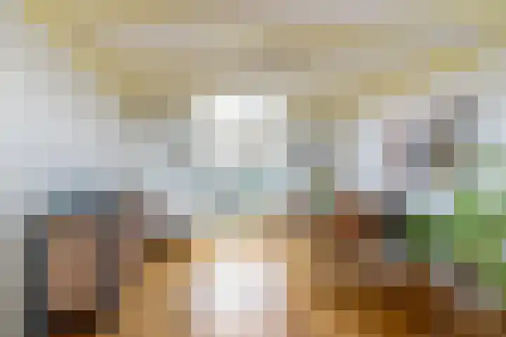 Wal 35 Tholen thumbnail 11