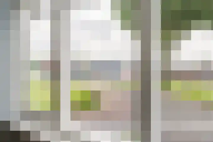 Wal 35 Tholen thumbnail 24