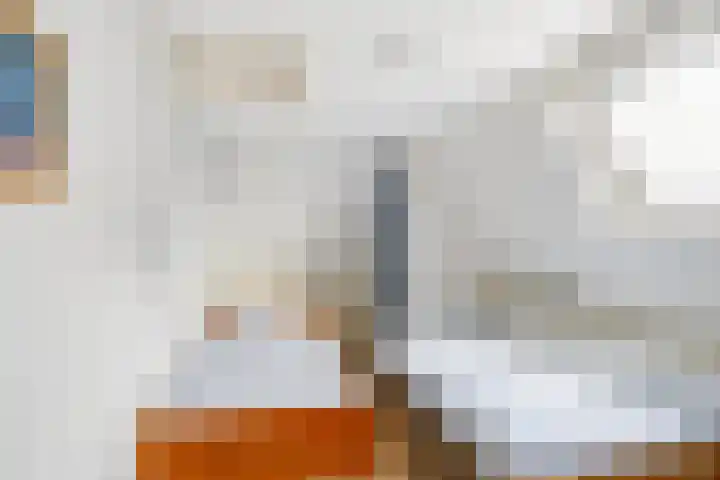 Wal 35 Tholen thumbnail 26