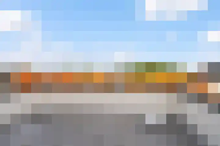 Wal 35 Tholen thumbnail 34