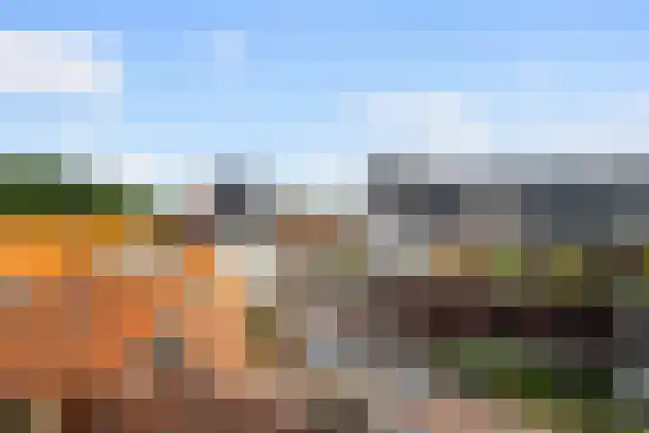 Wal 35 Tholen thumbnail 35