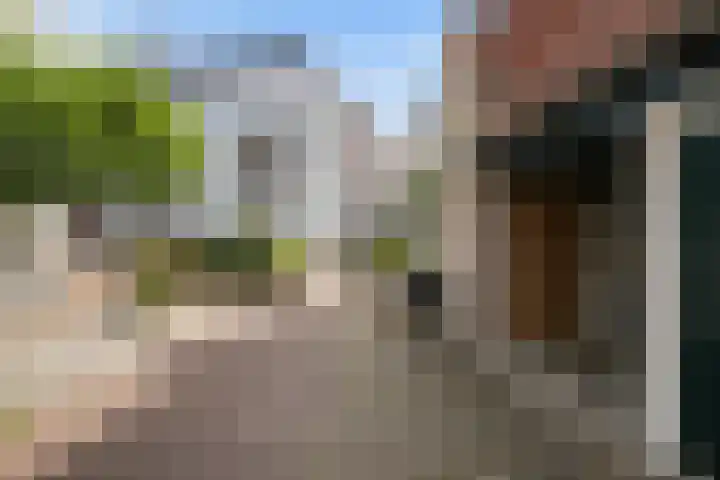 Wal 35 Tholen thumbnail 40