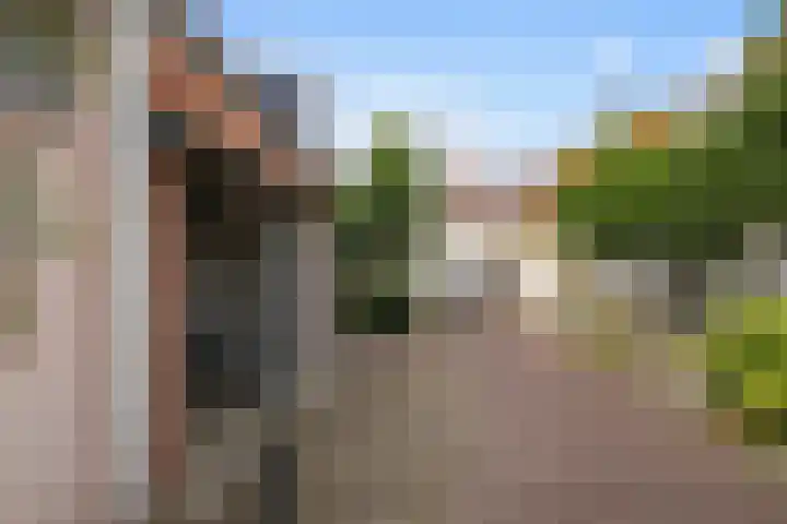 Wal 35 Tholen thumbnail 42