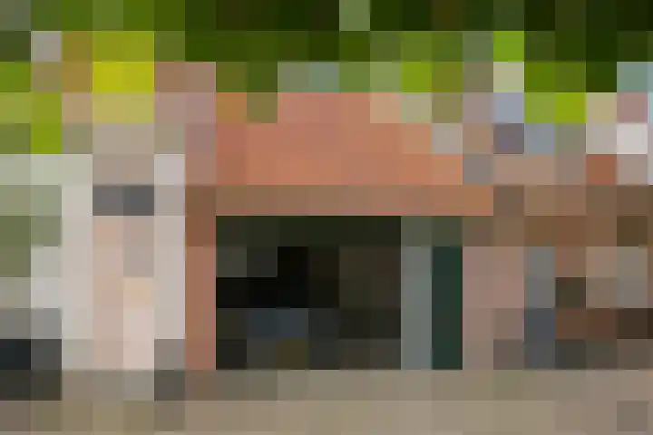 Wal 35 Tholen thumbnail 5