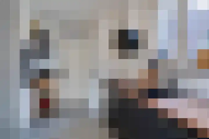 Wal 6 Arcen thumbnail 15