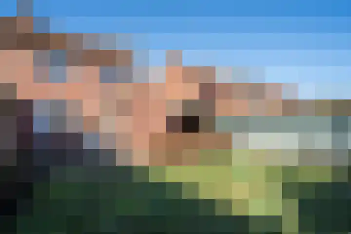 Wal 6 Arcen thumbnail 38