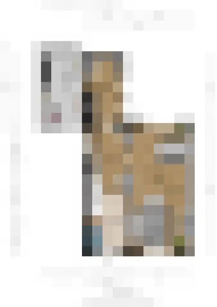 Wal 6 Arcen thumbnail 55