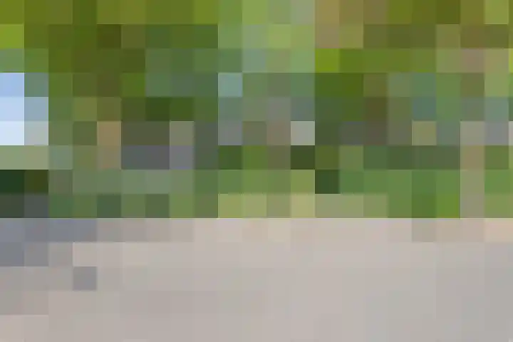 Wal 70 Veldhoven thumbnail 33