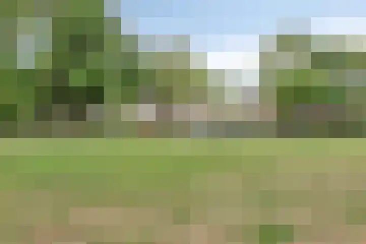 Wal 70 Veldhoven thumbnail 37