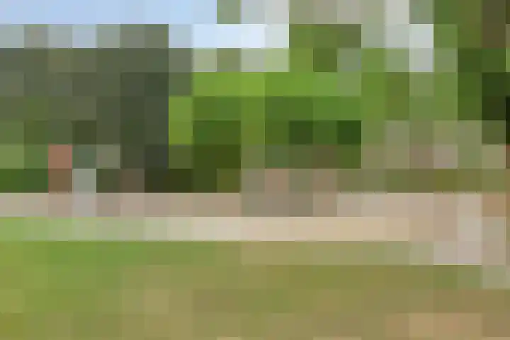 Wal 70 Veldhoven thumbnail 38