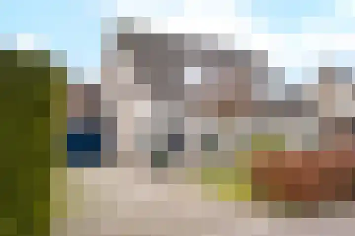 Walakker 8 Beilen