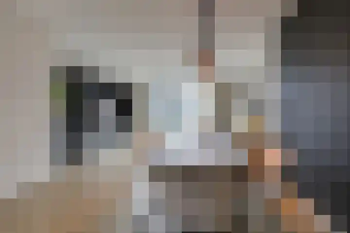 Walcherenstraat 3 c Duiven thumbnail 19