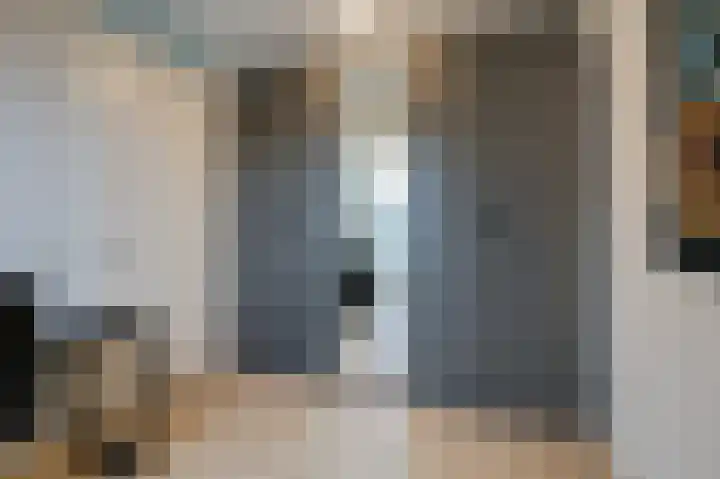 Walcherenstraat 3 c Duiven thumbnail 32