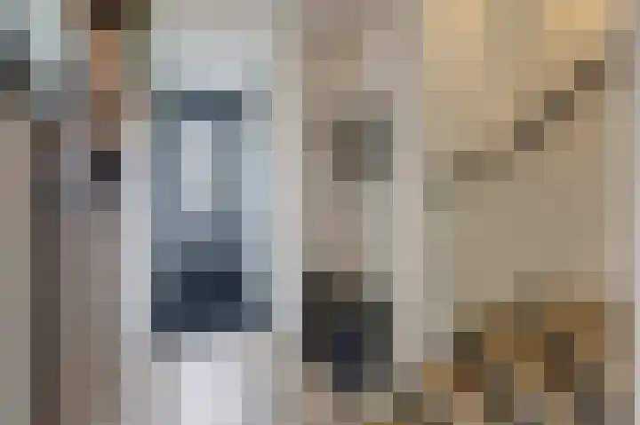 Walcherenstraat 3 c Duiven thumbnail 7