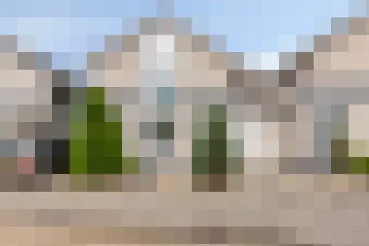 Walcherenstraat 78 Duiven thumbnail 35