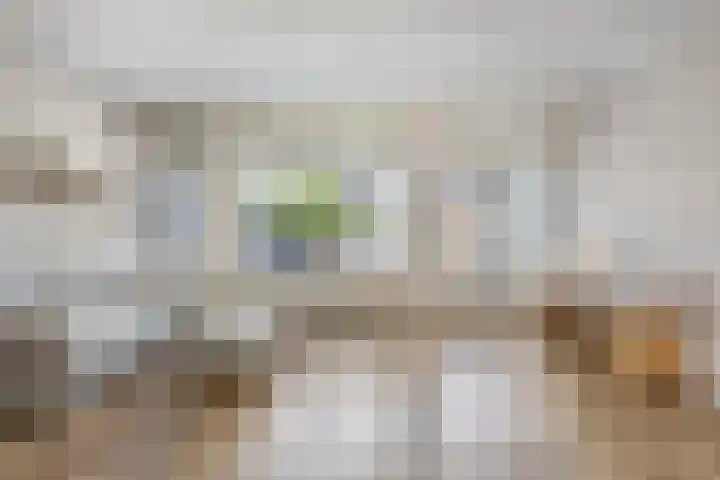 Waldadrift 150 Bedum thumbnail 11