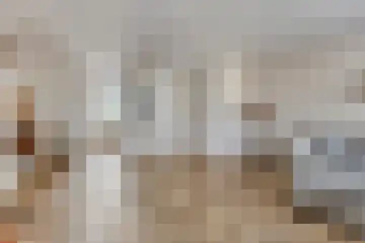 Waldadrift 150 Bedum thumbnail 15