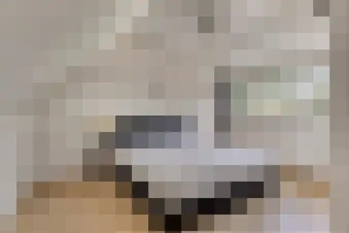 Waldadrift 150 Bedum thumbnail 27