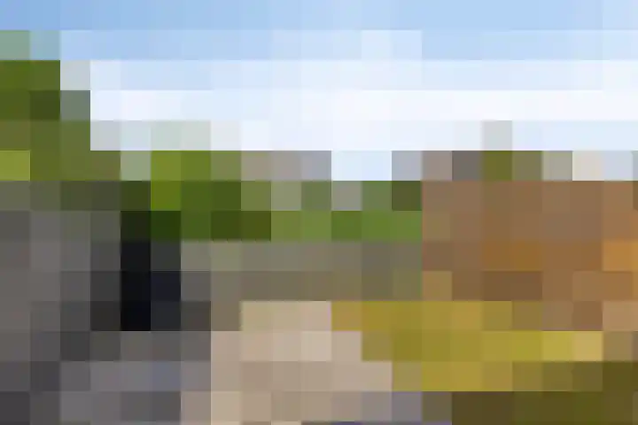 Waldadrift 150 Bedum thumbnail 30