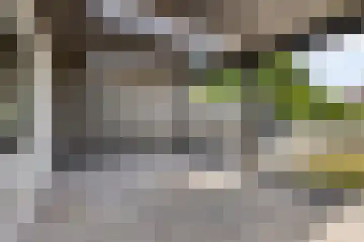 Waldadrift 150 Bedum thumbnail 4