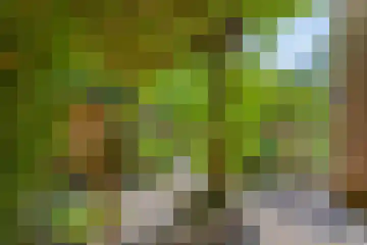 Waldeck-Pyrmontplein 4 dans Groningen