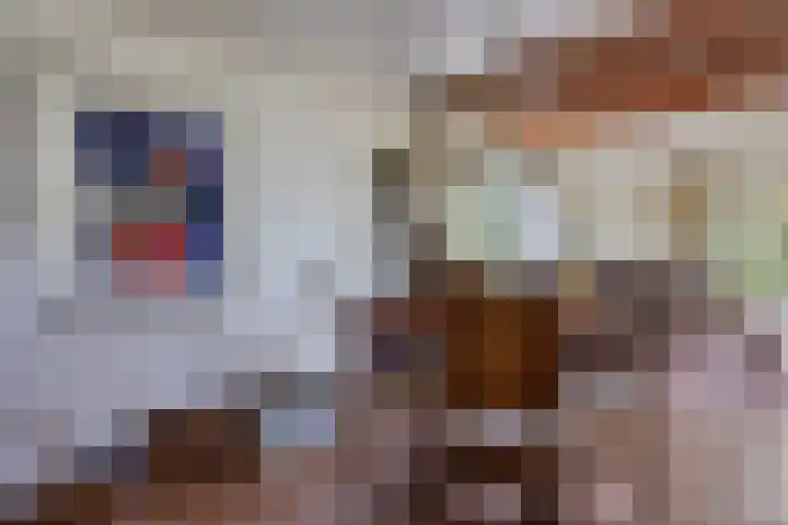 Wâldwei 12 Elahuizen thumbnail 11