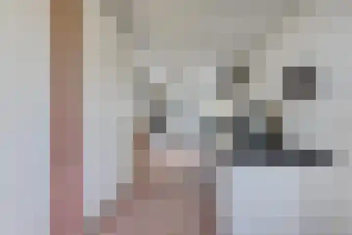 Wâldwei 12 Elahuizen thumbnail 12